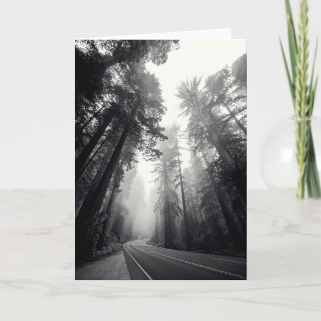 Beskåda av Sequoiaträd i skog Kort (Framsida)