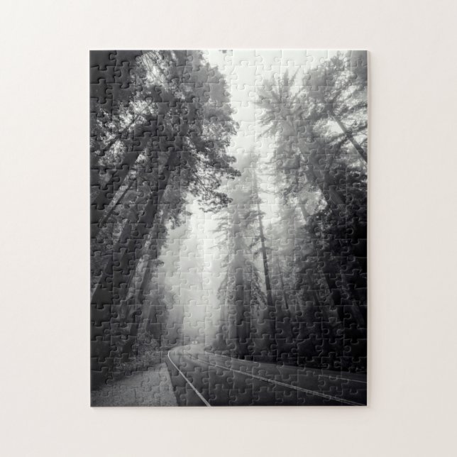 Beskåda av Sequoiaträd i skog Pussel (Vertikal)