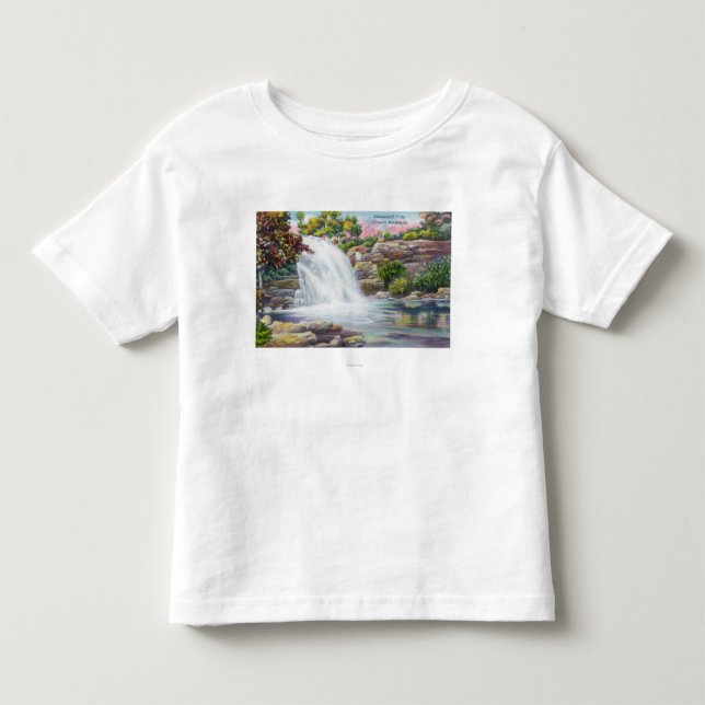 Beskåda av Shinglekill nedgångar T-shirt (Framsida)