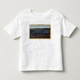 Beskåda av sjön från de nordliga kusterna t-shirt