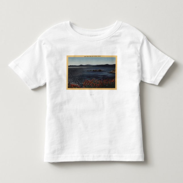 Beskåda av sjön från de nordliga kusterna t-shirt (Framsida)