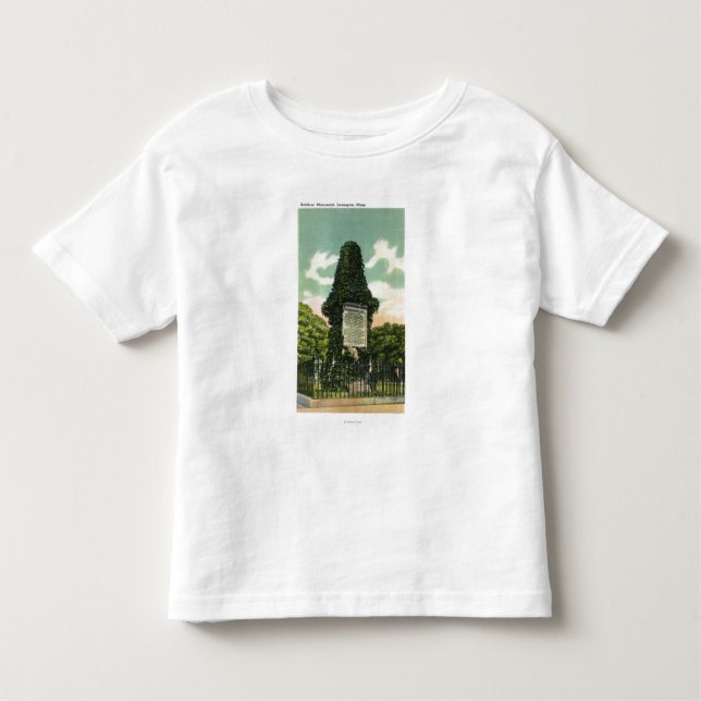 Beskåda av soldat monument t shirt (Framsida)