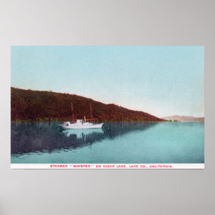 Beskåda av Steamerviskning på sjön Poster