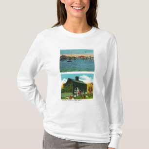 Beskåda av strand, gammal murgrönastuga på frih tee