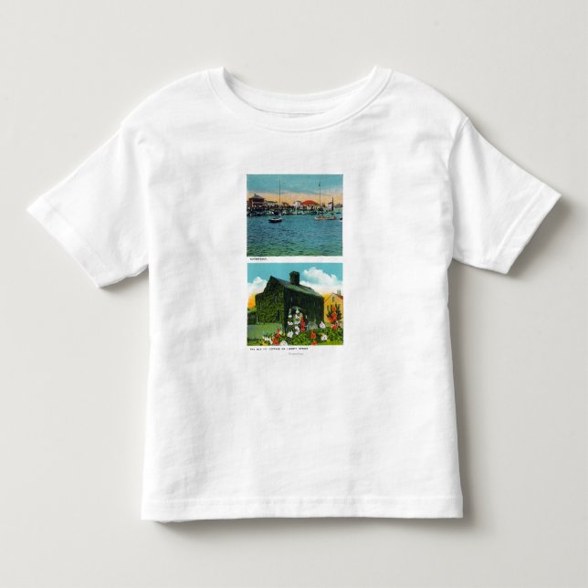 Beskåda av strand, gammal murgrönastuga på frihet t-shirt (Framsida)