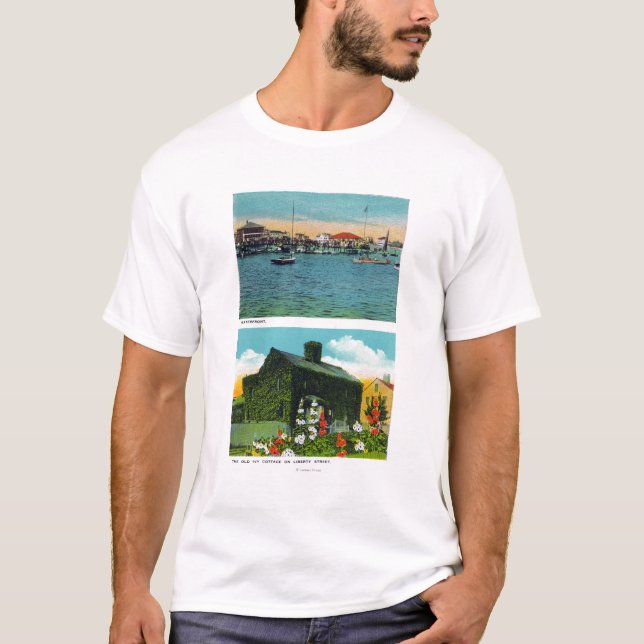 Beskåda av strand, gammal murgrönastuga på frihet t-shirt (Framsida)