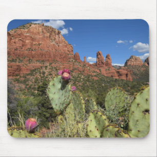 Beskåda av tvilling- Buttes Sedona, Arizona Musmatta