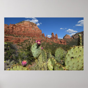 Beskåda av tvilling- Buttes Sedona, Arizona Poster