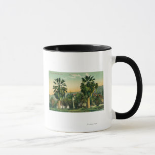 Beskåda av tvilling- PalmsParaiso vårar, CA Mugg