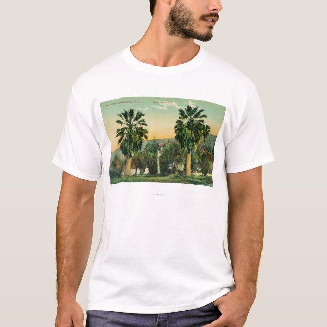 Beskåda av tvilling- PalmsParaiso vårar, CA Tee Shirt (Framsida)