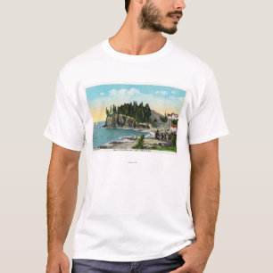 Beskåda av uggla den Head fyr- och uggla stenen T-shirt