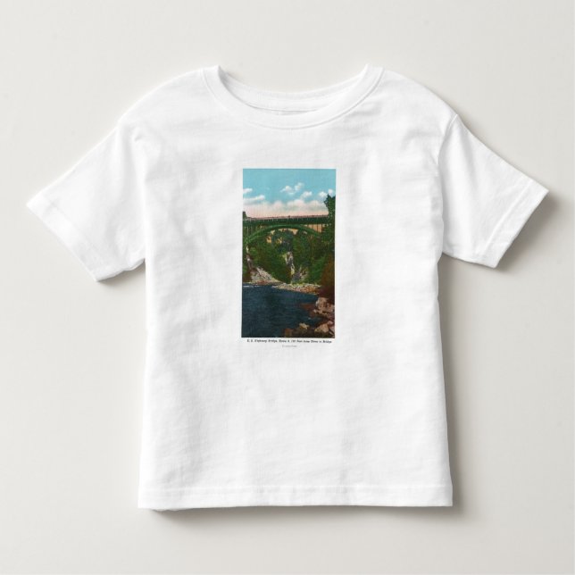 Beskåda av USEN Hwy överbryggar, rutt 9 Tee Shirt (Framsida)