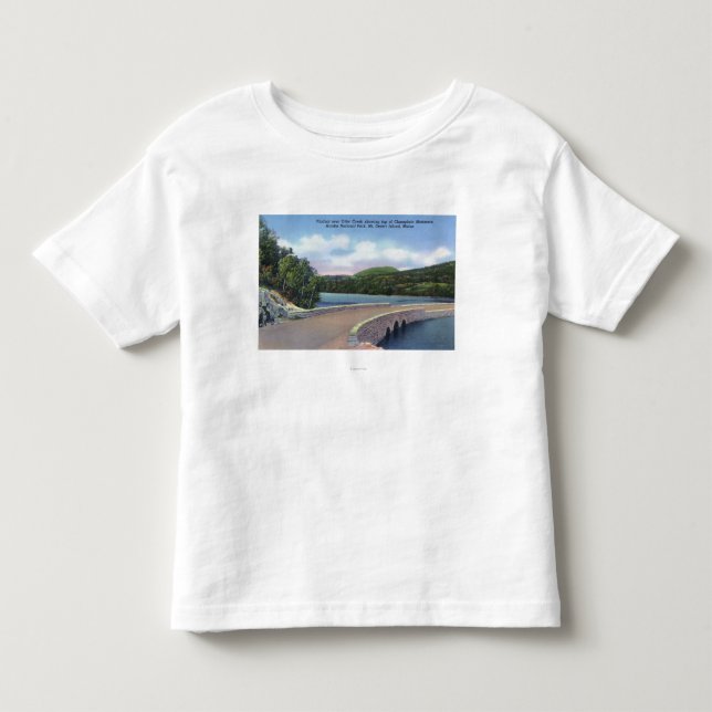 Beskåda av utterbäckviaducten, Champlain Mt. Tee (Framsida)