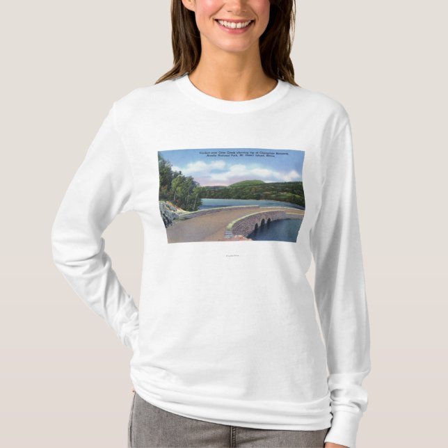 Beskåda av utterbäckviaducten, Champlain Mt. Tee Shirt (Framsida)