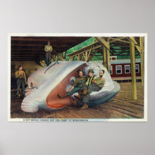 Beskåda av valjägare som Reclining på val Poster
