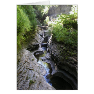 Beskåda av Watkins Glen Hälsningskort