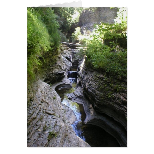 Beskåda av Watkins Glen Hälsningskort (Framsidan)