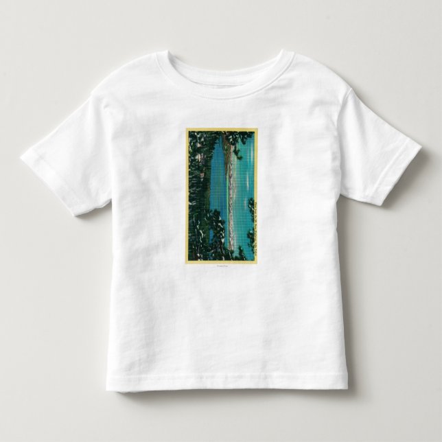 Beskåda från Mt.en rosa HighwayLake Tahoe, CA Tee Shirt (Framsida)