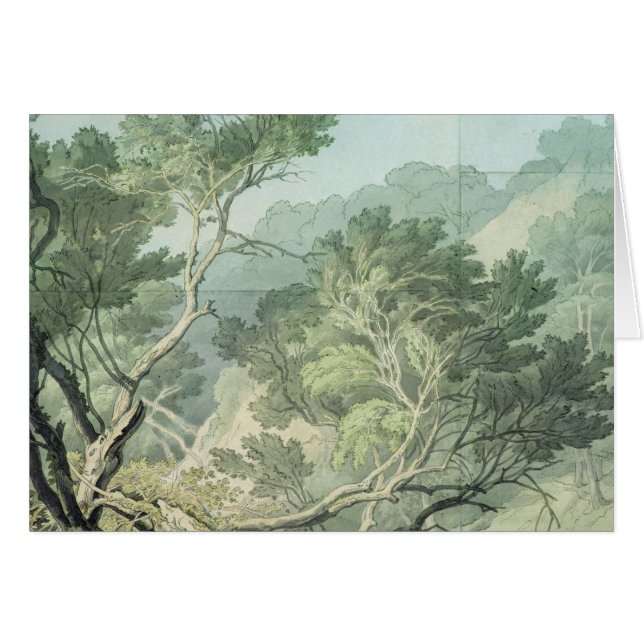 Beskåda nära Fordlands, Exeter Hälsningskort (Framsidan Horizontal)