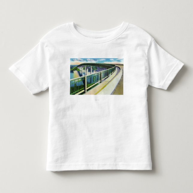 Beskåda över Connecticutet River Tee (Framsida)