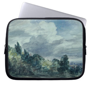 Beskåda över en sned boll landskap, med träd i laptop sleeve