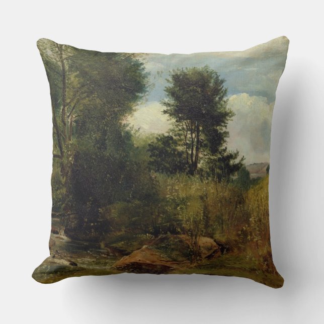 Beskåda på floden Sid, nära Sidmouth, c.1852 (olja Kudde (Framsida)