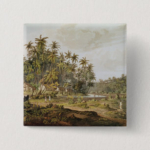 Beskåda pekar nära du Galle, Ceylon Knapp