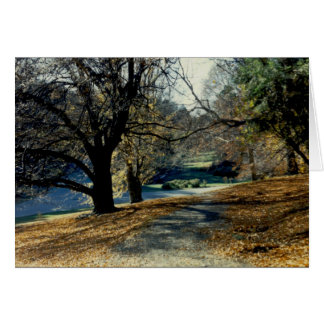 Beskåda till och med bokträddunge hälsningskort