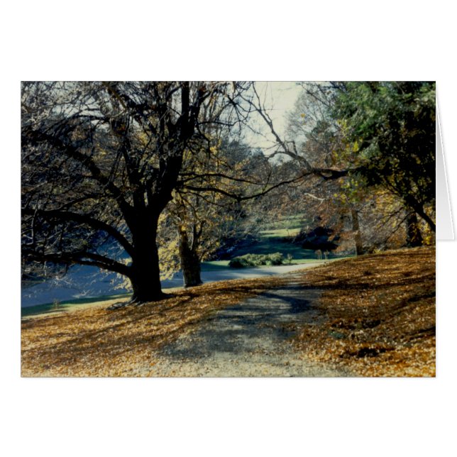 Beskåda till och med bokträddunge hälsningskort (Framsidan Horizontal)