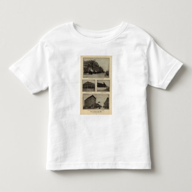 Beskådar Boise, Idaho T-shirt (Framsida)