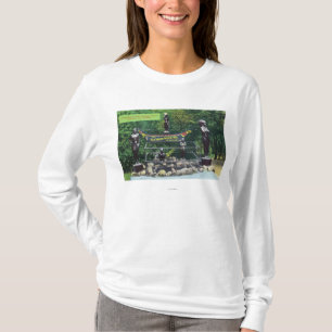 Beskådar den indiska önskande brunnen för den tee shirt