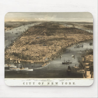 Beskådar det New York City NY fågelögat 1856 by Musmatta