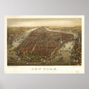 Beskådar det New York City NY fågelögat 1874 den Poster