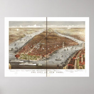 Beskådar det New York City NY fågelögat 1876 de Poster