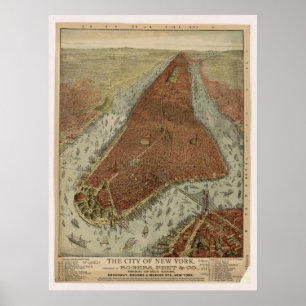 Beskådar det New York City NY fågelögat 1879 den Poster
