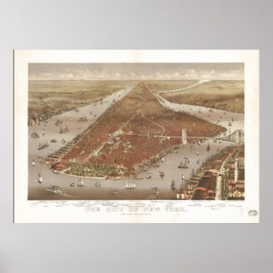 Beskådar det New York City NY fågelögat 1884 de Poster