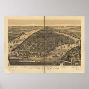 Beskådar det New York City NY fågelögat 1889 den Poster