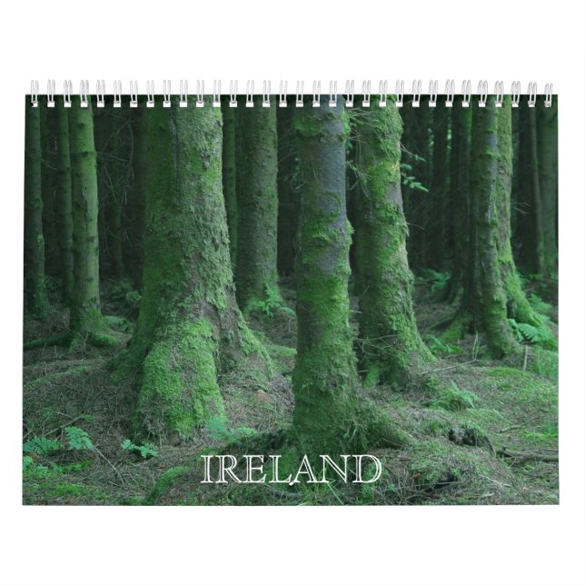 Beskådar från den Irland kalendern Kalender (Omslag)