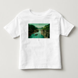 Beskådar Miles kanjon, Alaska med manar som Tee