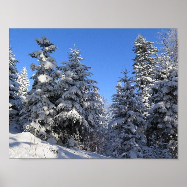 Beskids Winter Poster (Framsidan)