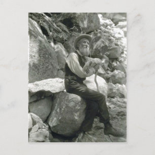 Beskrivning John Muir, amerikanmiljövårdare. Vykort