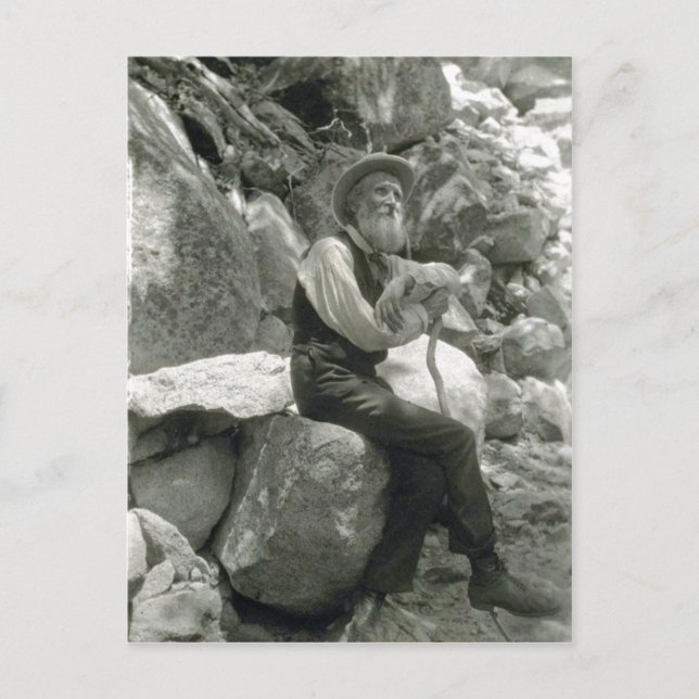 Beskrivning John Muir, amerikanmiljövårdare. Vykort (Framsida)