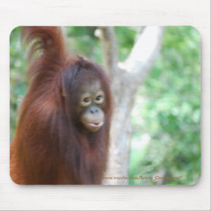 Beskydd för djur för Krista Orangutandjungel Musmatta