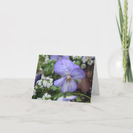 Beskydda mig - Notecard Kort