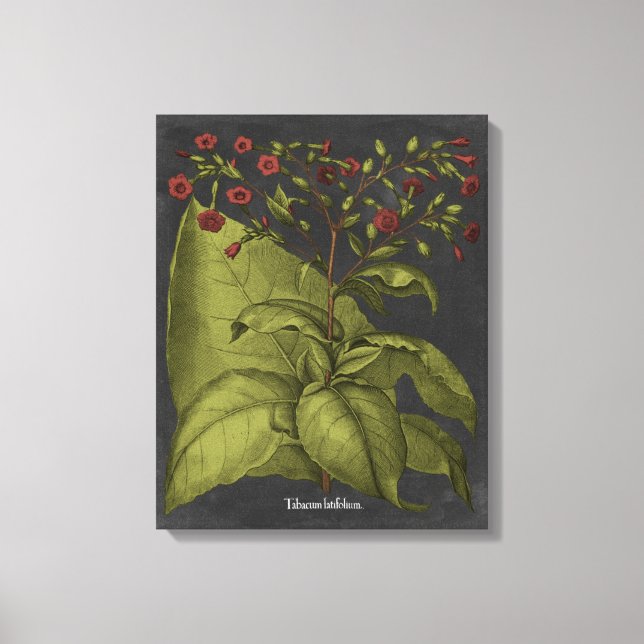 Besler Dramatique I Canvastryck (Framsida)