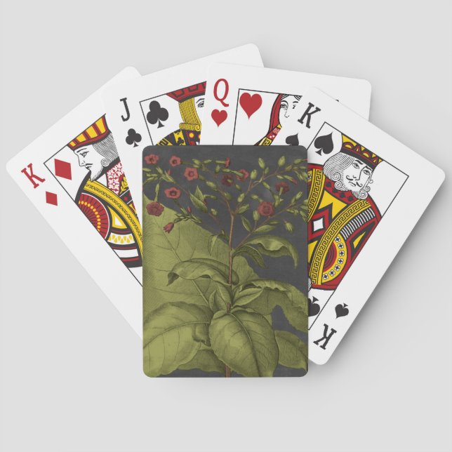 Besler Dramatique I Casinokort (Baksidan)