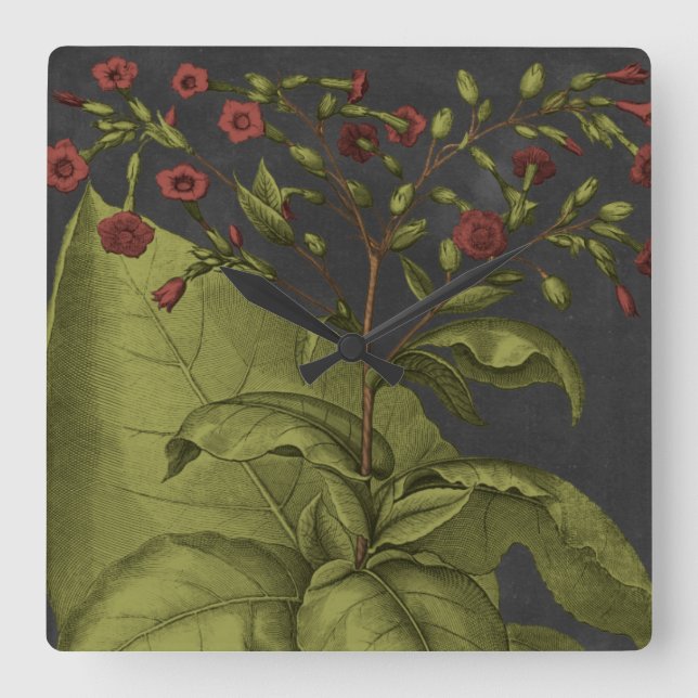 Besler Dramatique I Fyrkantig Klocka (Framsida)