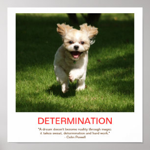BESLUTSAMHETdemotivationalaffisch Poster