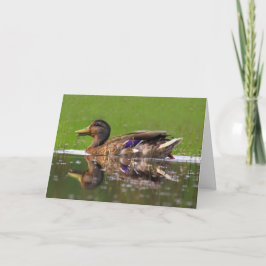 BeSnyard Mallard Anka Fars dag Kort