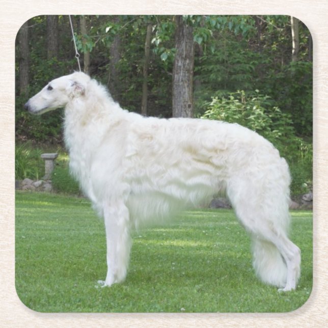 BeSnyn Borzoi Underlägg Papper Kvadrat (Framsidan)